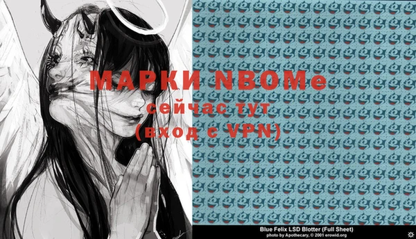 гидра Вяземский